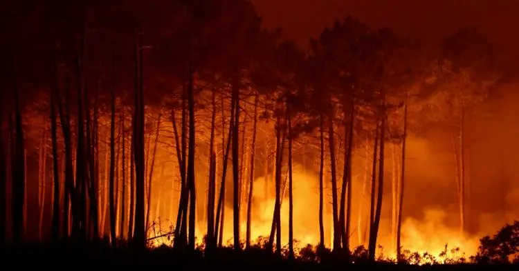 Incendies : vos salariés bénéficient gratuitement d’un soutien psychologique